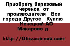 Приобрету березовый черенок  от производителя - Все города Другое » Куплю   . Ненецкий АО,Макарово д.